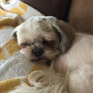 Meet your Posher, Amy